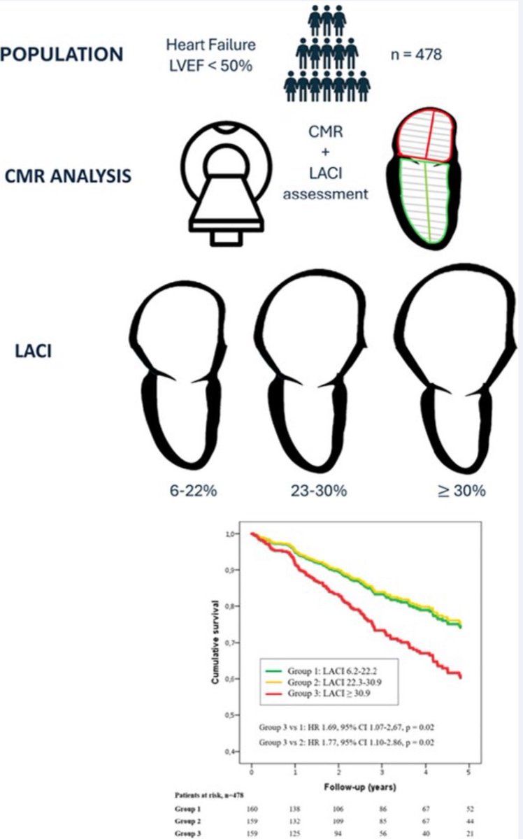 From #EHJCVI:
Left Atrial Coupling Index (LACI) is independently associated with #death or #HF hospitalization in HF patients &amp; LVEF &lt;50%
💔 Highest LACI (≥30.9%) = worst outcomes
🫀 Reflects impaired LA-LV coupling
📊 A promising tool for HF risk stratification
🔗 Read more: