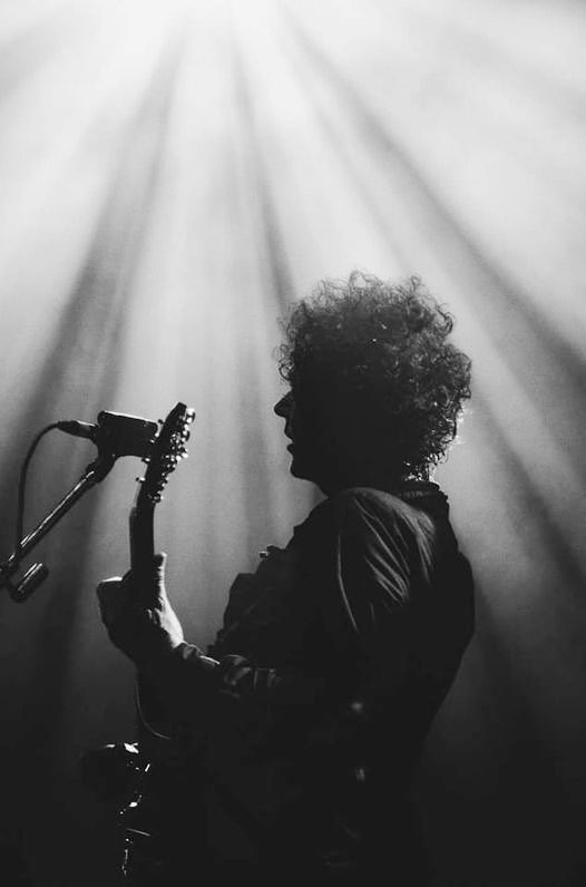 Cerati Infinito (@infinitocerati) on Twitter photo 