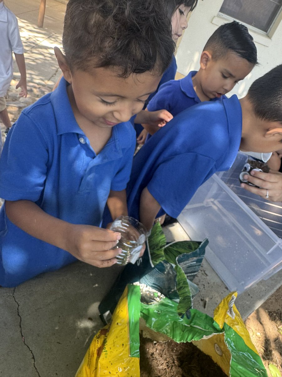 VGuajardo_ESA's tweet photo. 🌎Earth Day with our cuties 🌱We planted some grass in our recycled bottles so we can give them haircuts later ❤️ #TeamSISD #EarthDay #LivinThatPrekLife #MsGRocks @Escontrias_SA @AThomas_EES @LAlvarez_EES @Cmarquez_EES https://t.co/1Dsv1f6G8W