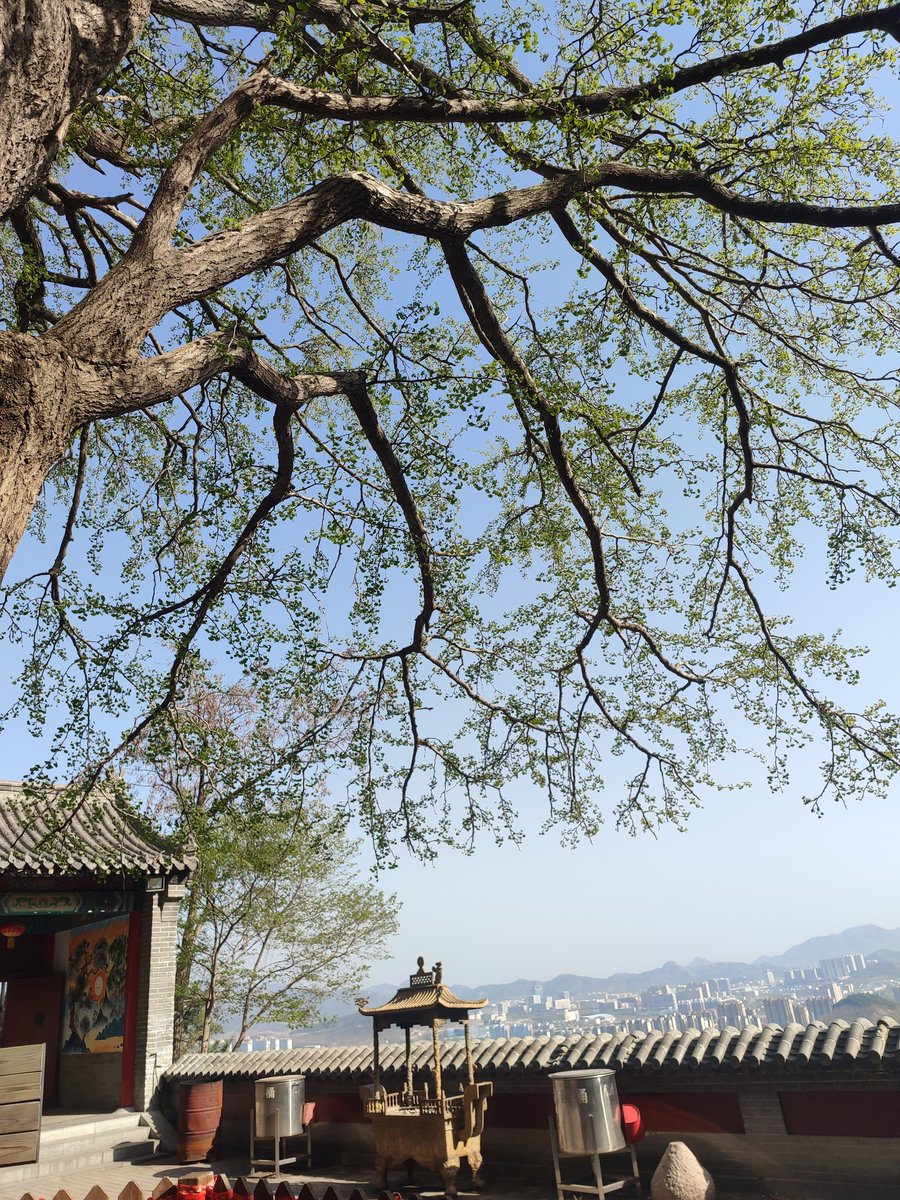 rw2001tata's tweet photo. 爬山是日常 露出是彩蛋 
给大家看一下每天都真的在爬山
每天都可以随机找个山头来偶遇我 https://t.co/64ehemPH0C