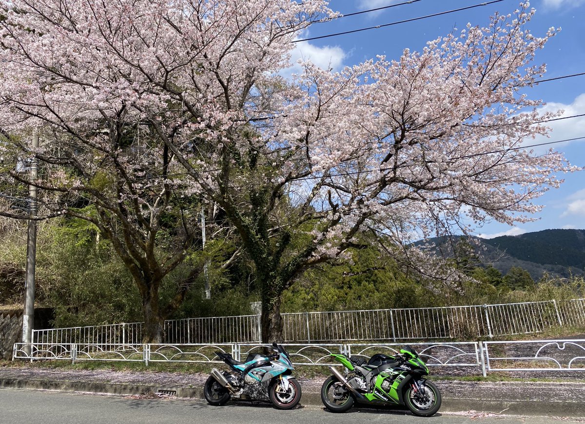 この前、お花見ツーリングして来た🌸
車検切れたら一旦バイクお休みします🥲

もうすぐ新しい車も来るから楽しみ！

いつバイク復活させるかわかんないけど、
免許とって4年間無事故無違反で来れてよかった☺️
…立ちゴケは初心者の時にしましたｹﾄﾞ…