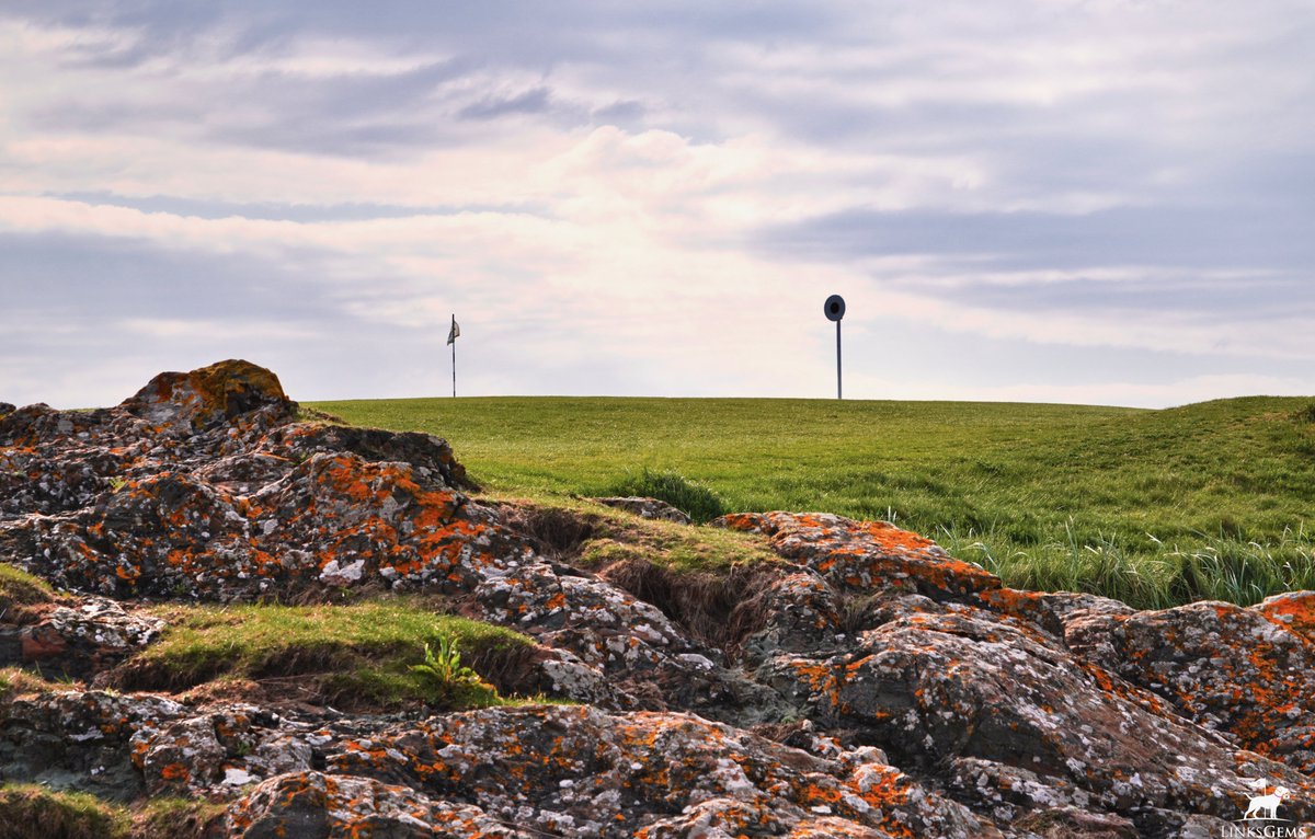 LinksGems tweet media