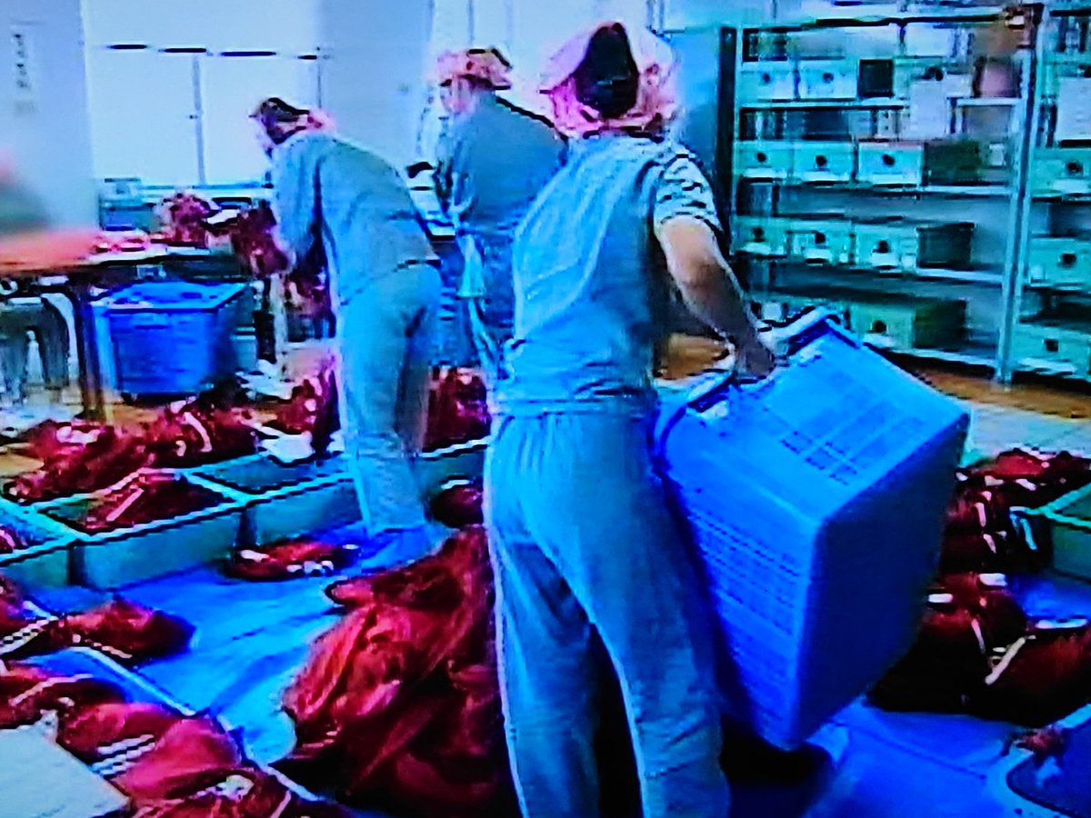 女子刑務所 教育支所
『プライドの高い女子囚人』

女子刑務所に入れられてしまうと、年齢やそれまでの社会的な地位も全て没収されてしまう。
とても社会人地位が高いハイスペック女子でも、ぐうたらなダメ女でも、平等に同じ女子受刑者として扱われる。