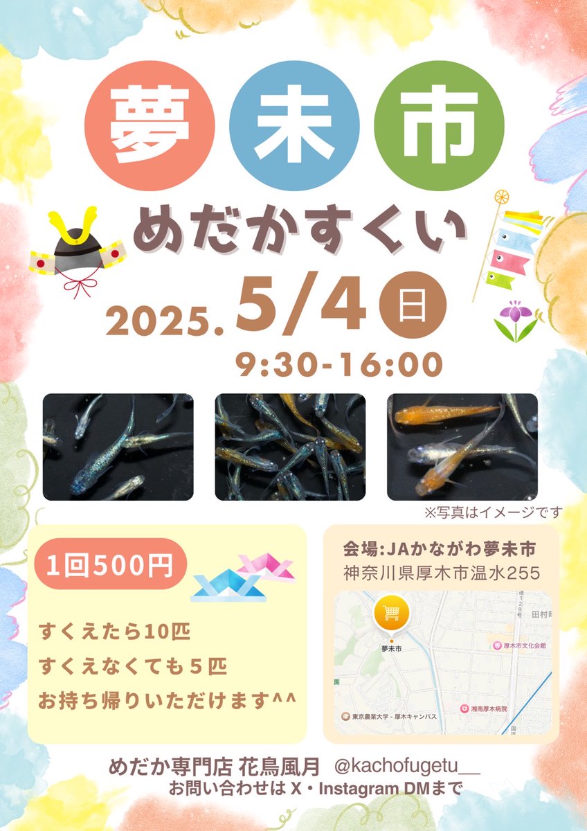 kachofugetu__'s tweet photo. こんにちは☀

厚木にあるJAあつぎ夢未市様でめだか掬いをすることが決定しました🎉

5／4（日）9:30〜16:00となっています🙏

たくさんのご来場をお待ちしております✨️ https://t.co/ifrBwSBLWM