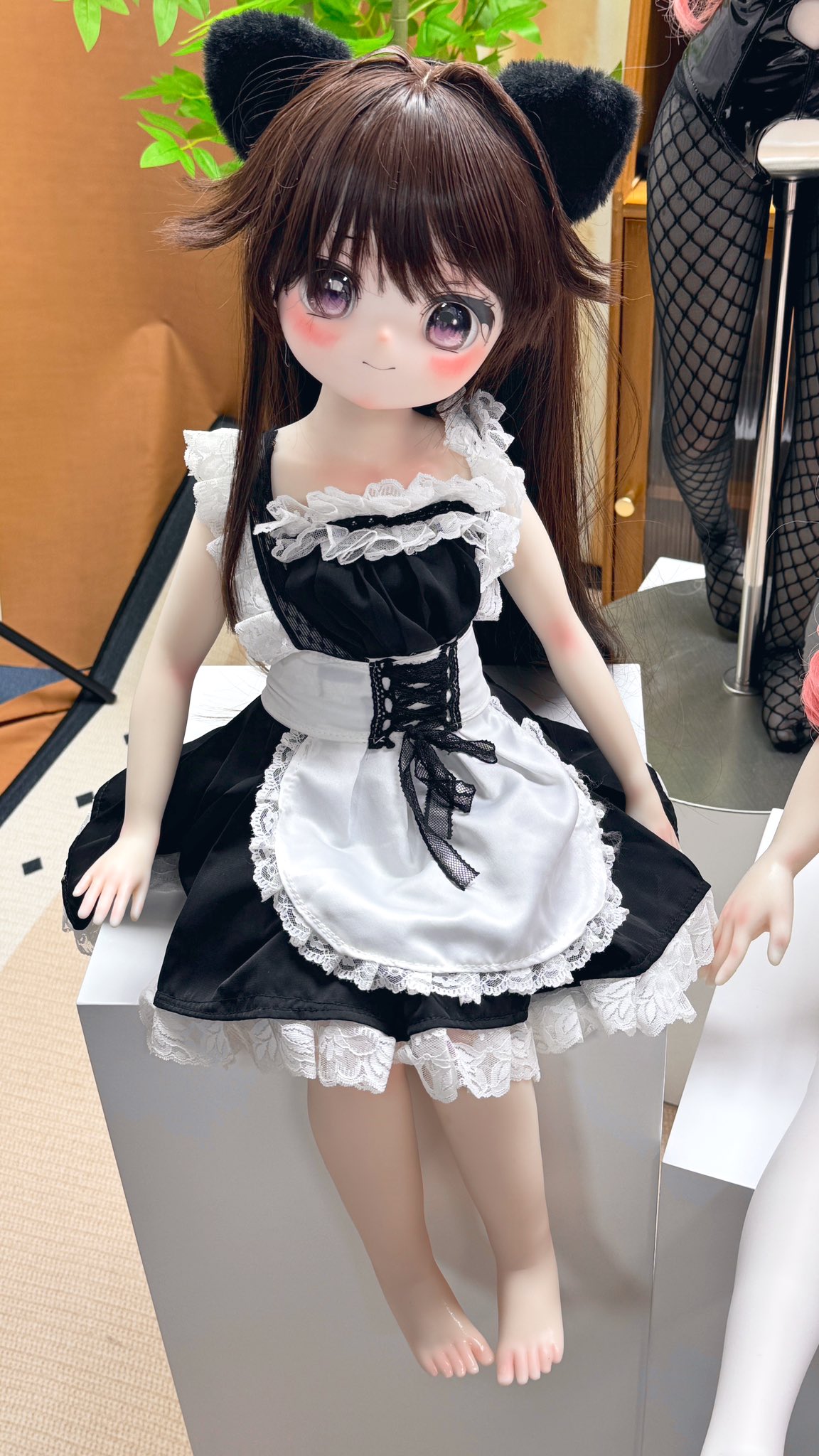 PPC ANIMEDOLL Studio @大阪展示会 on X: 