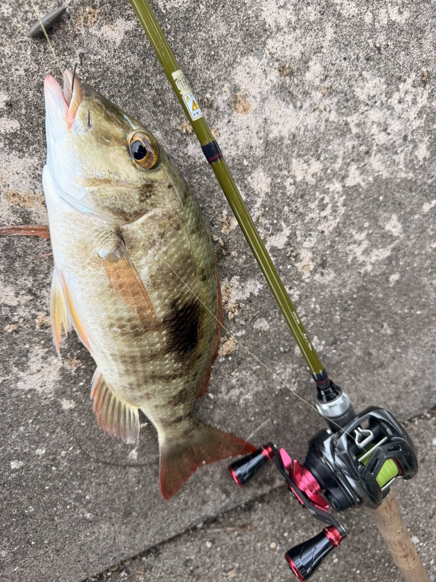 murachio's tweet image. 最終日はオカッパリゲーム！