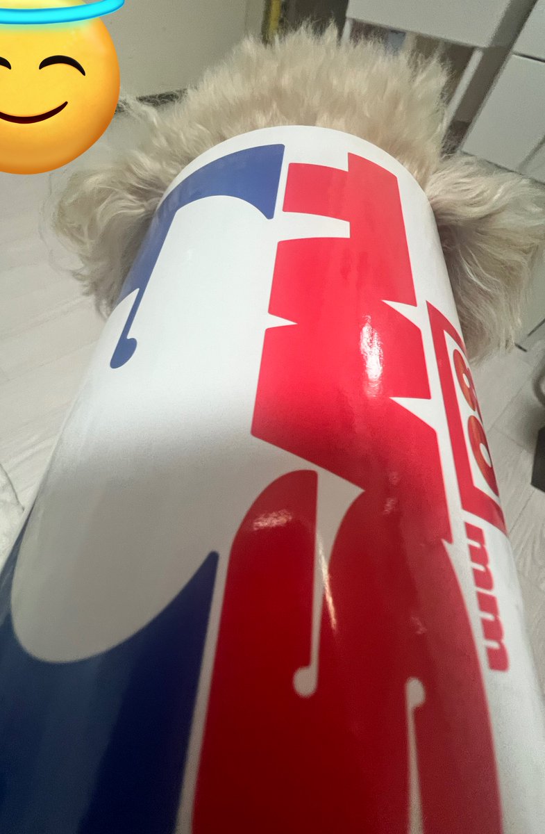 투어스 앨범 크기: 강아지 들어감