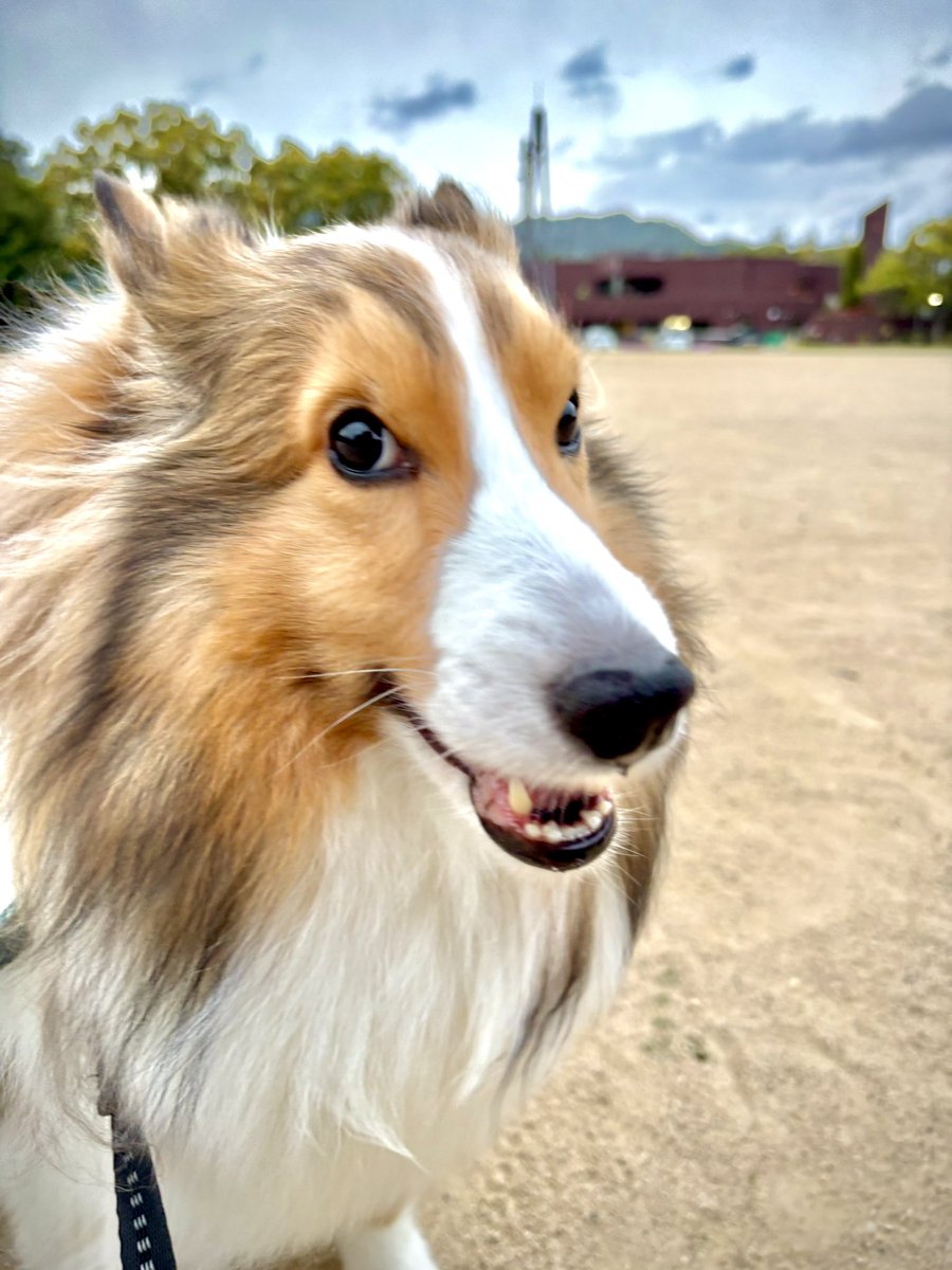 4歳になりました！