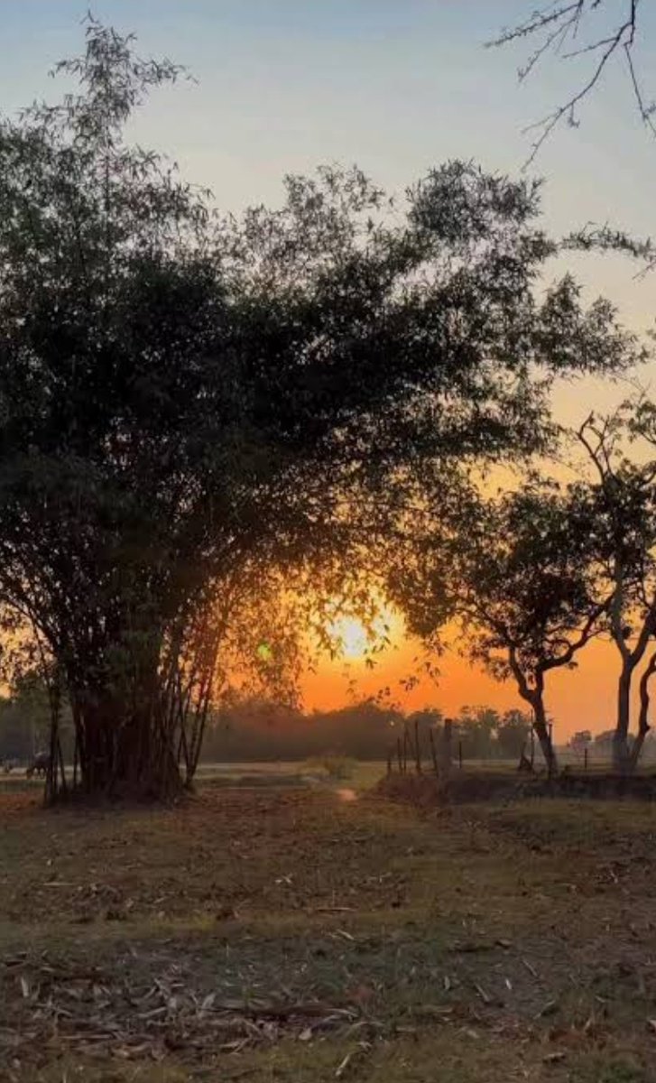 photexity's tweet photo. Photography by Ishita mandal  #photexity #photographyclub https://t.co/9z7FNwjo7E