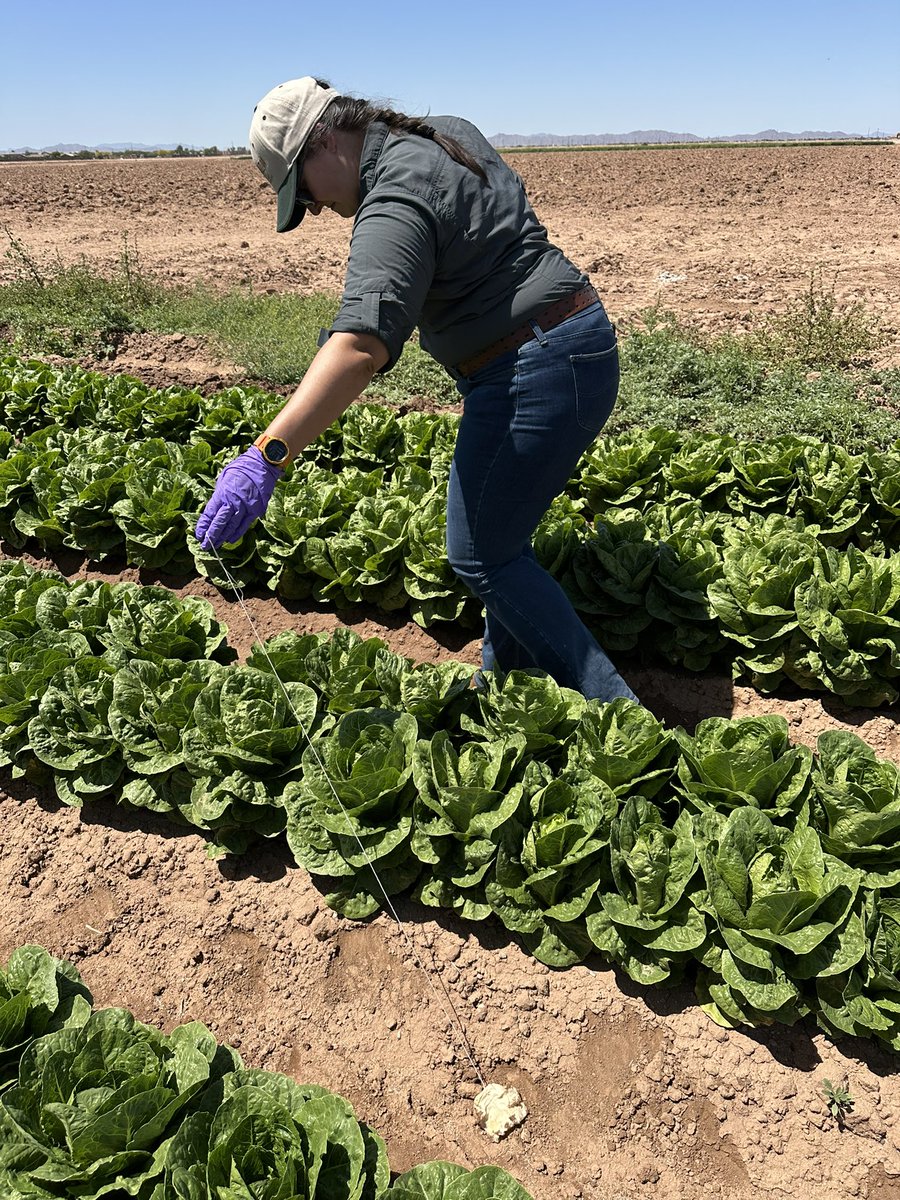 On earth day, we teach! Today we trained AZ Dept of Ag, AZ State Ag Lab, and AZ Dept of Heath Services Rapid Response Team members how to sample in the event of an outbreak.