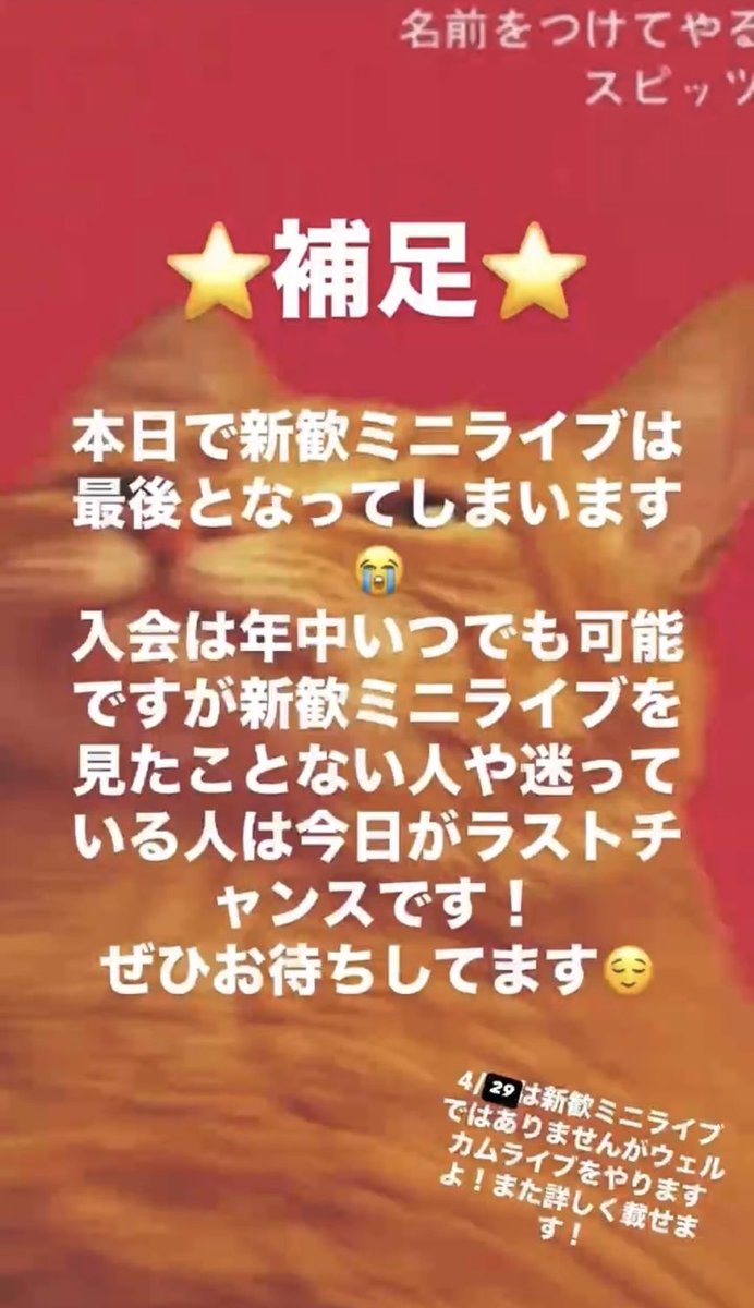 ell_tkbuniv2's tweet image. 