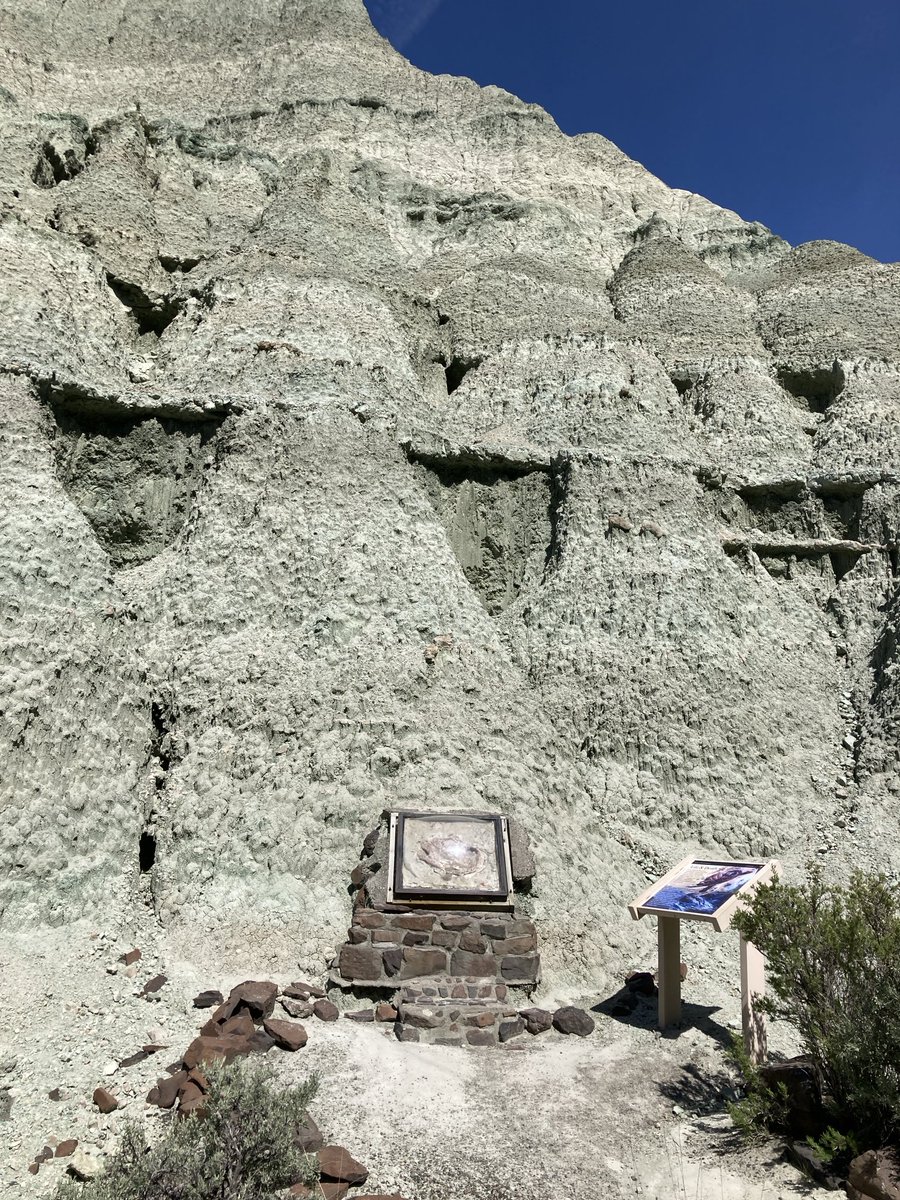 John Day Fossil Beds, Oregon. Timeproof 30 million years. Een zonnige dag in april. Beter wordt het niet.
