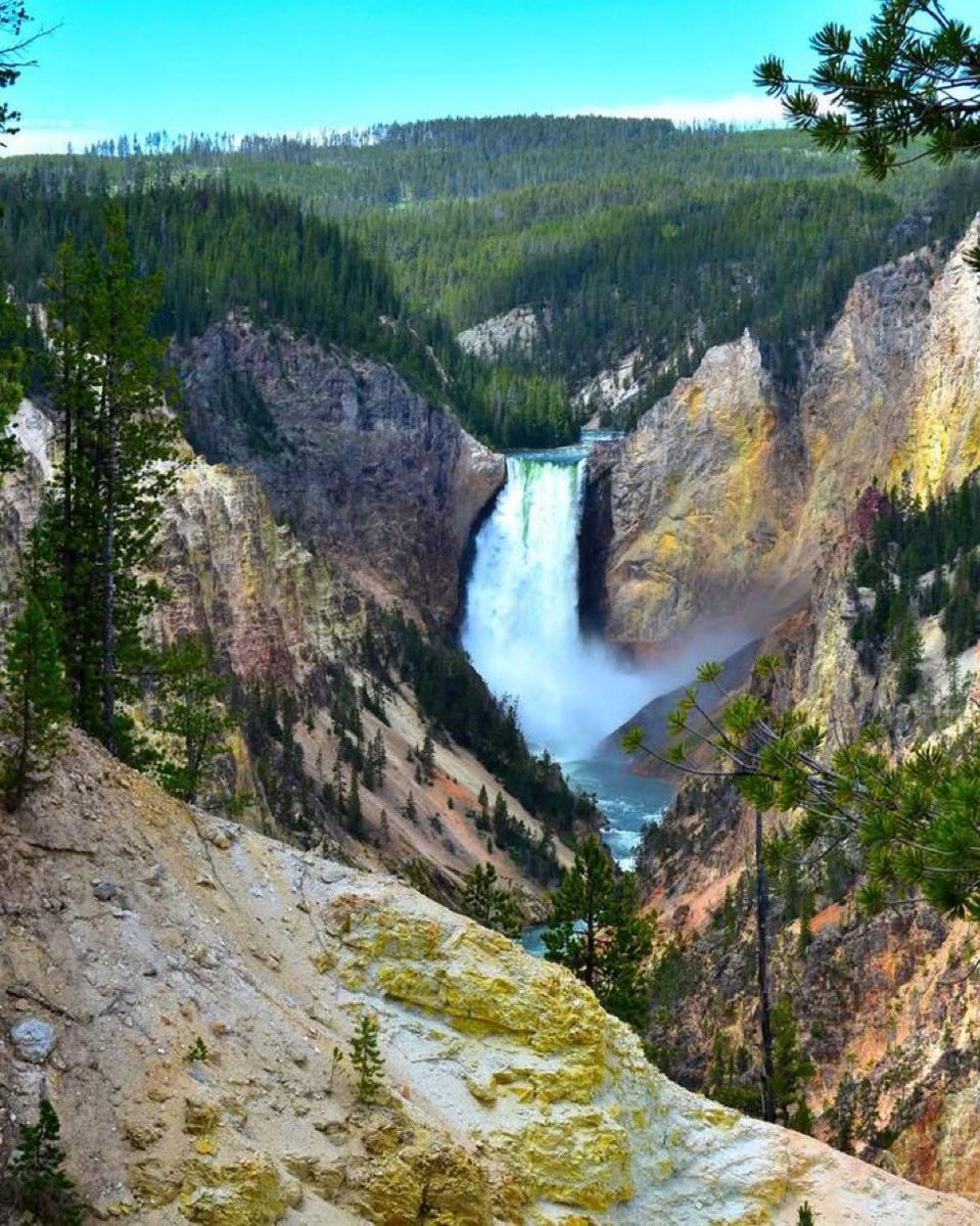 DescriptionVan2's tweet image. 