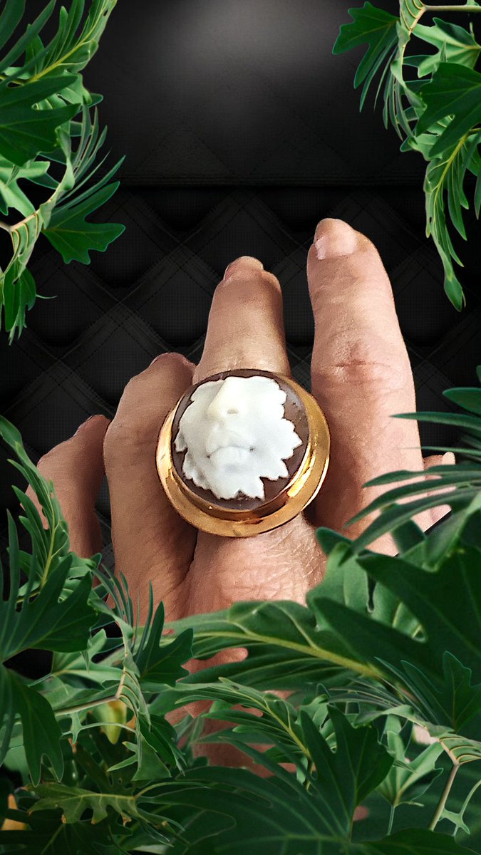 cameocalamity's tweet photo. Happy Earth Day
#cameojewelry #cameorings #MadeInItaly #NatureLovers https://t.co/9IGm1xupFP