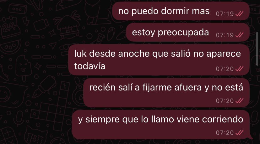 AmarillaaPaloma's tweet image. SE DESMAYABA PORQUE NO ENCONTRABA AL GATO #dramatica