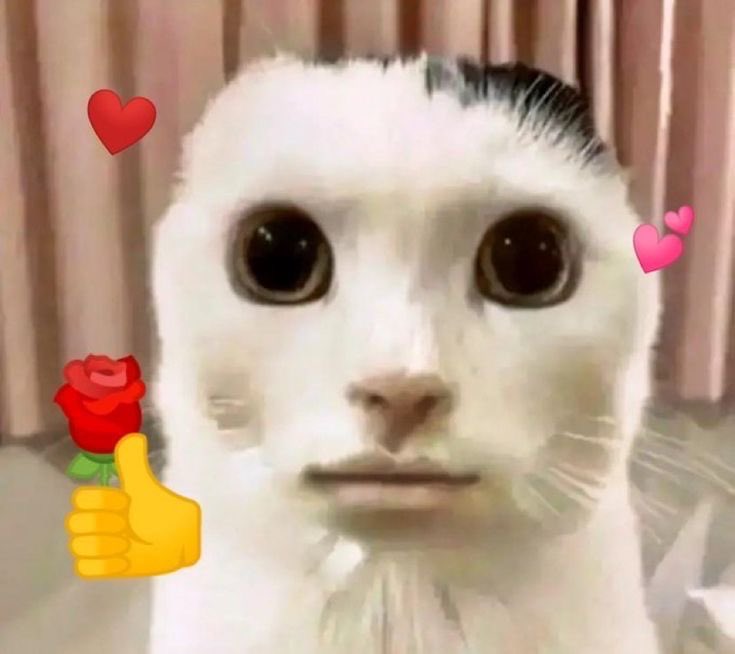 ㄱㅅ합니다 e컵이라어무힘들었어요