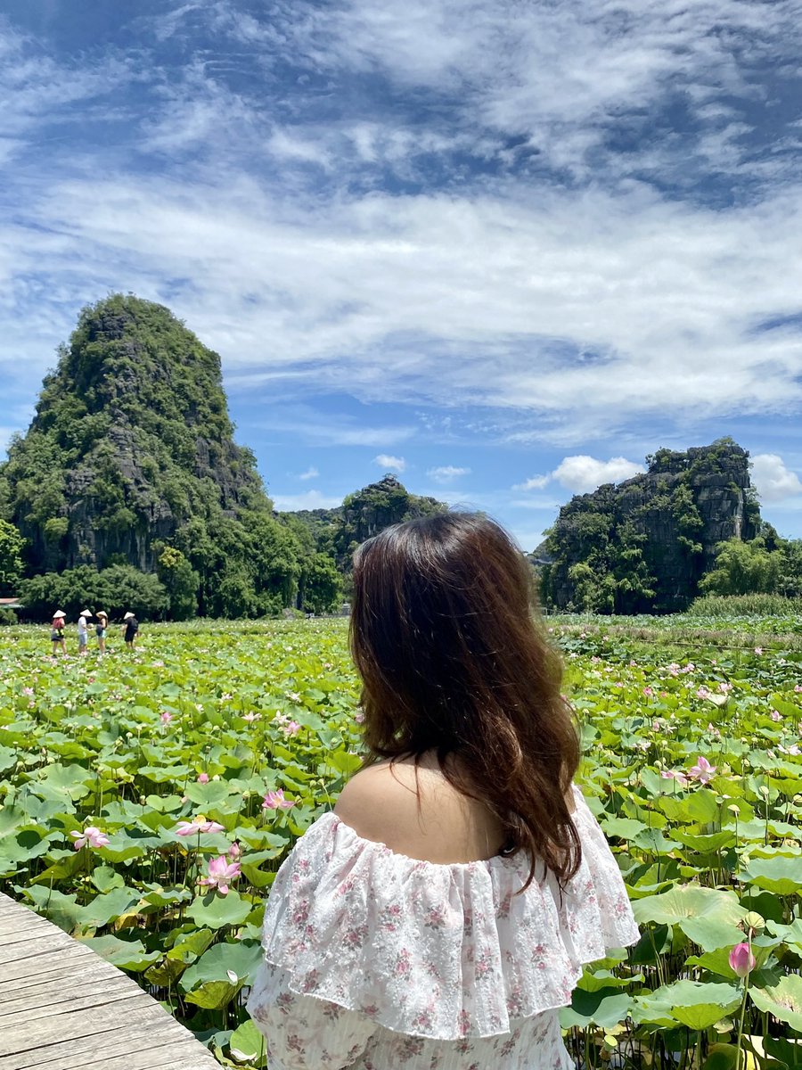Thư Nguyễn | Mia tweet media