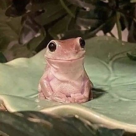 Parody:
คุณพระ เฮ้ย เฮ้ย เดี๋ยวก่อนนะ นายชอบมันเหรอ
*ปลื้ม*