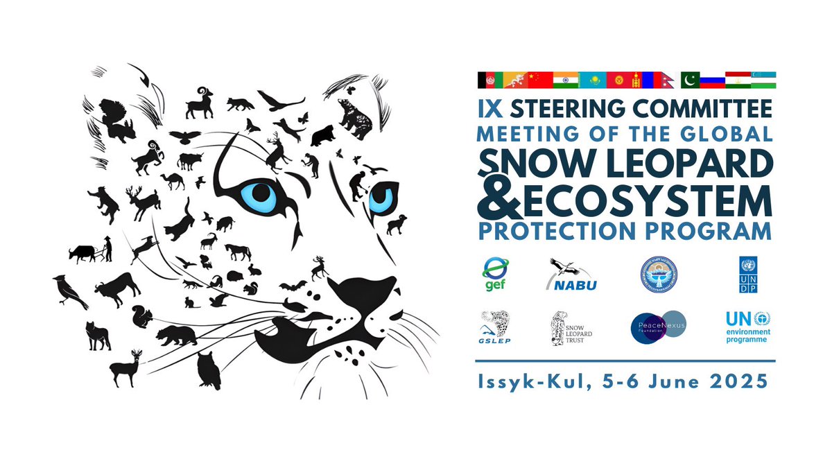 gslep_program's tweet image. Join us in Kyrgyz Republic on June 5–6 for the 9th #GSLEP Meeting! 12 nations unite to protect Asia’s high mountains, snow leopards 🐆 &amp;amp; 1/3 of humanity’s water sources. Let’s drive #ClimateAction &amp;amp; #Conservation together! #SnowLeopard #HighAsia #ClimateResilience #GSLEP