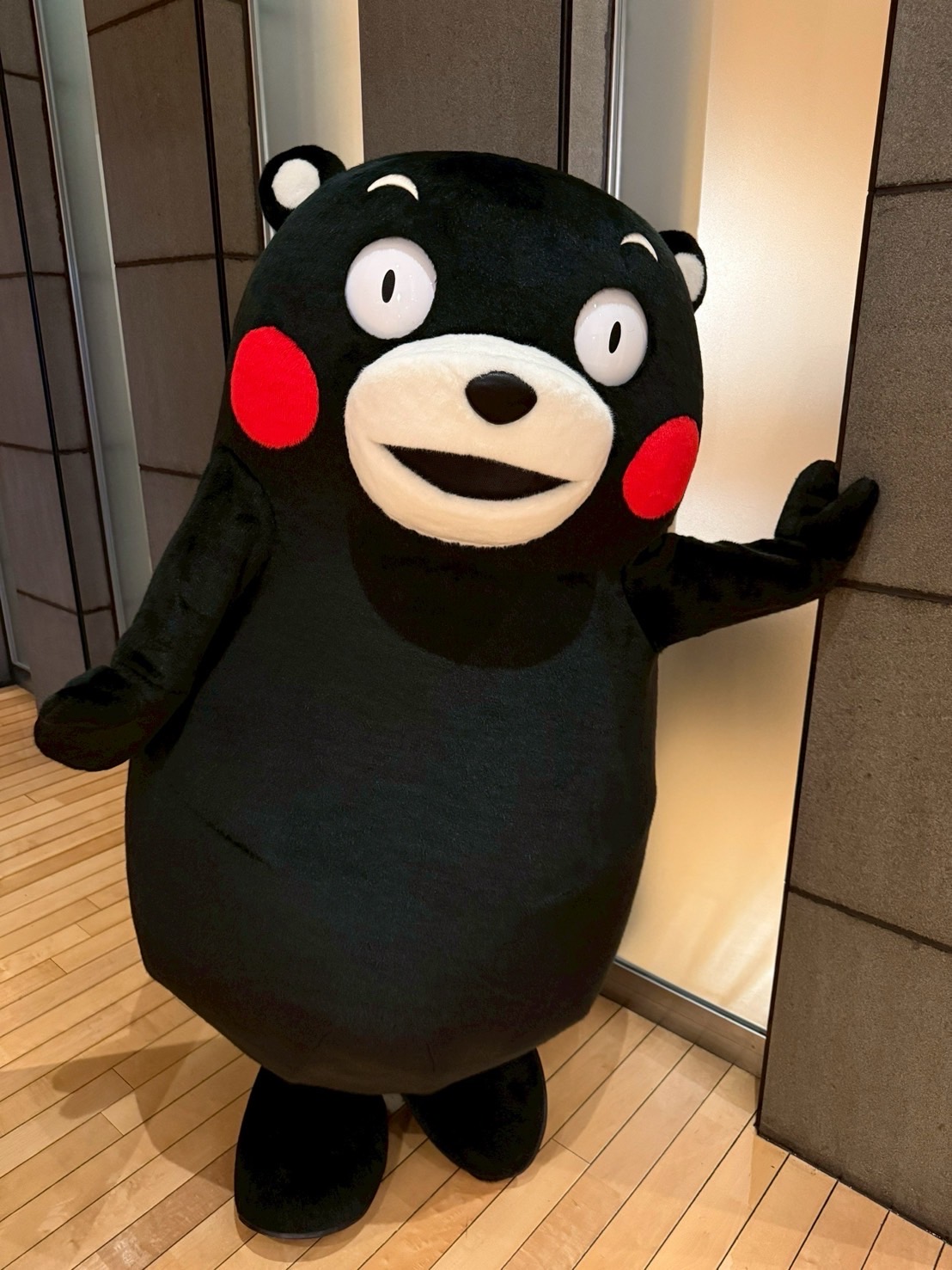くまモン【公式】 (@55_kumamon) / X くまモン【公式】 (@55_kumamon) / X