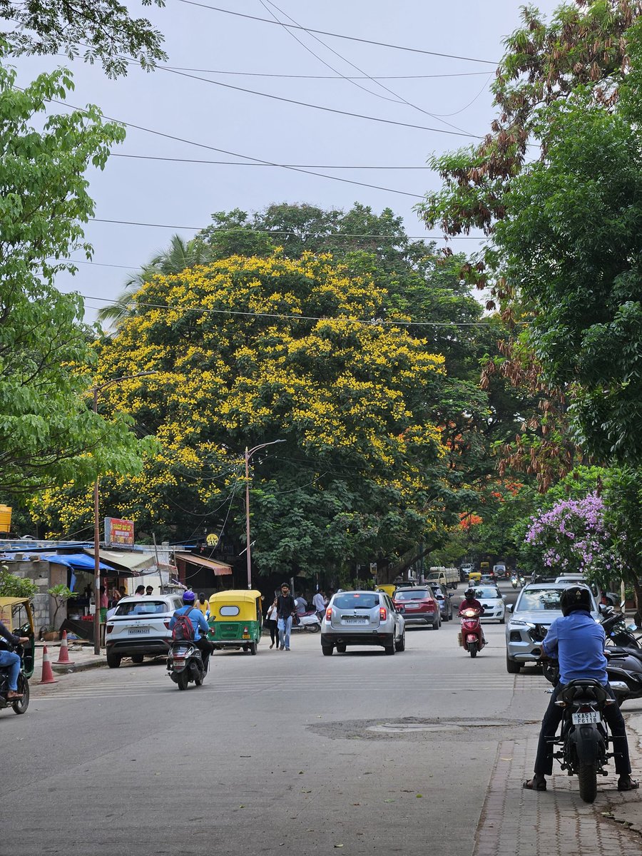 Akanksha Bhasin tweet media