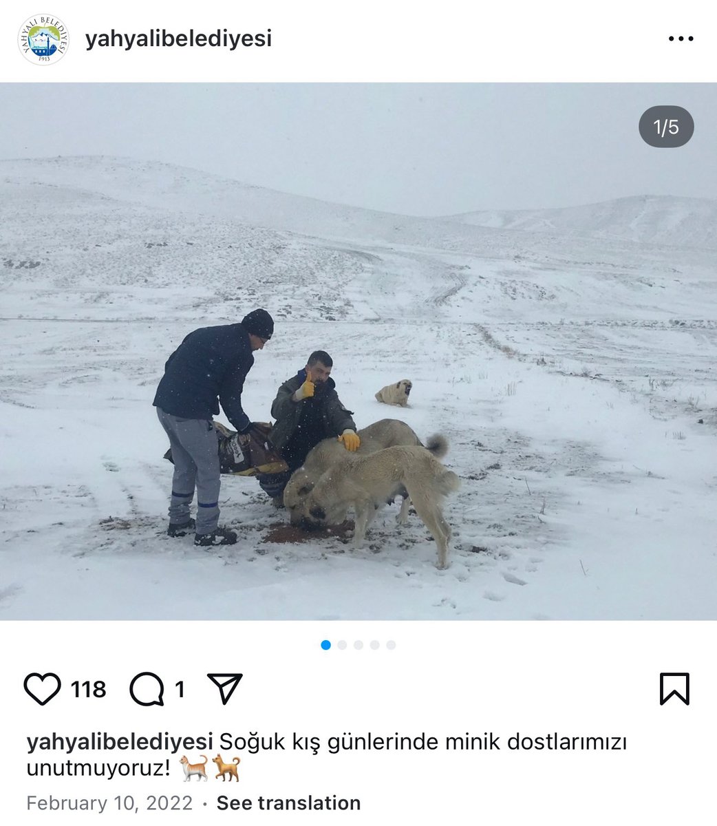 Turan Kaya (@bellwar_34) on Twitter photo 2021 - 2023 arası köpeklerden minik dost diye bahsedip peygamber hadisleri paylaşan <a href="/yahyalibelediye/">Yahyalı Belediyesi</a> şimdi diş çıkarmış köpek görseli paylaşıp köpeklerden canavar gibi bahsediyor.
Köpek koyacak yerleri yok. Bu güne kadar sürükleyerek götürdükleri köpeklerin akıbeti belli değil. 2021 - 2023 arası köpeklerden minik dost diye bahsedip peygamber hadisleri paylaşan <a href="/yahyalibelediye/">Yahyalı Belediyesi</a> şimdi diş çıkarmış köpek görseli paylaşıp köpeklerden canavar gibi bahsediyor.
Köpek koyacak yerleri yok. Bu güne kadar sürükleyerek götürdükleri köpeklerin akıbeti belli değil.