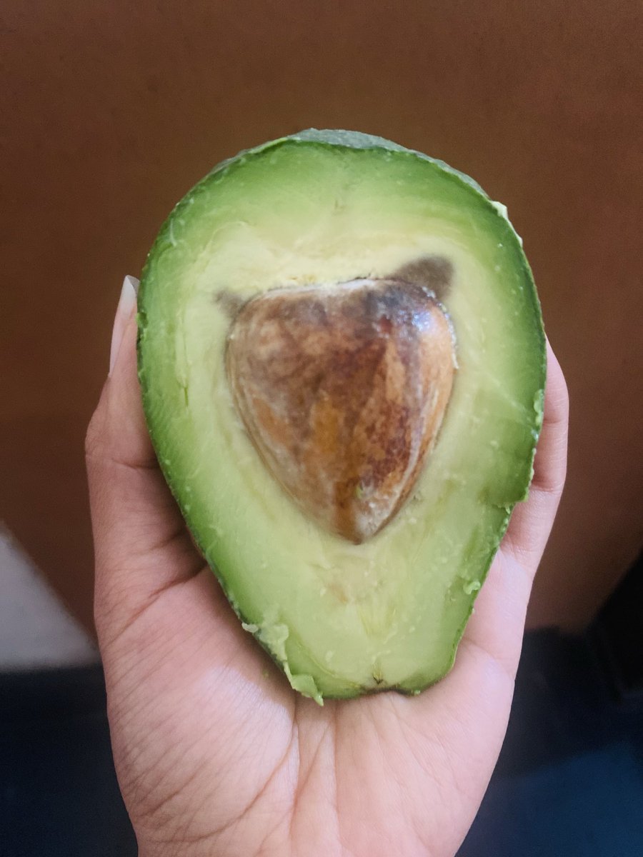 sjec19's tweet photo. 🥑🤎 https://t.co/XKSvKZGWvS