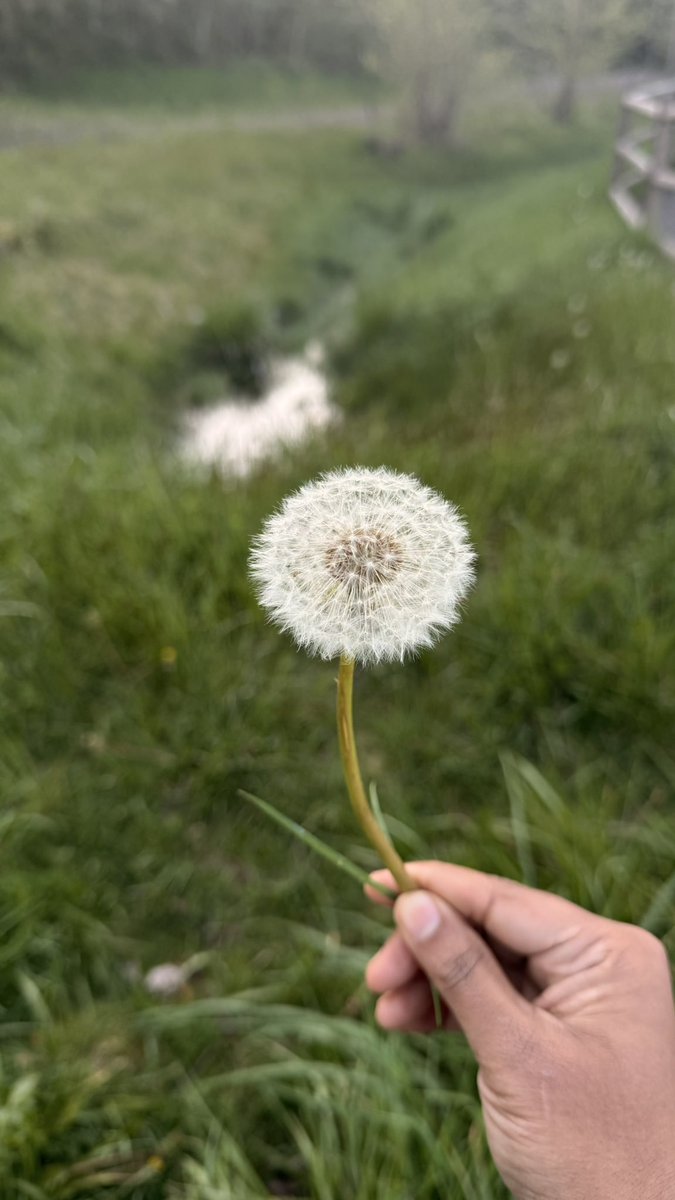 RThinkpostive80's tweet image. Just hearing your voice makes my day beautiful ❤️
#Frds❤️🥳