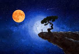 Good Night Everyone!

Hope your day was amazing!

Sleep well!