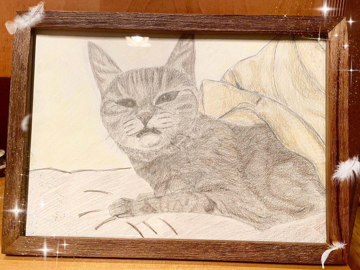 ☆neko3zukiねこさんずきさん☆12月6日 商品番号66 ☆neko3zukiねこ