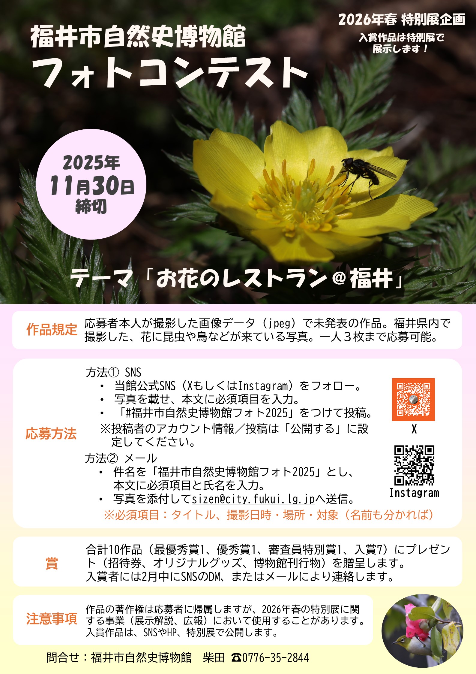 福井市自然史博物館 (@fukuishizenshi) / X