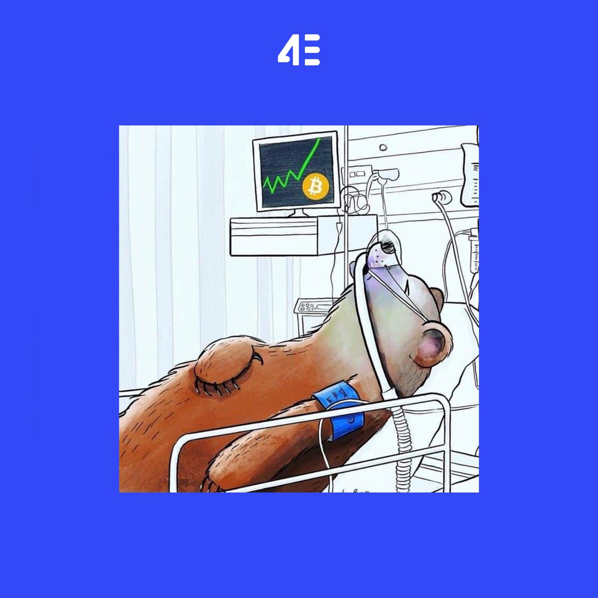 4E华语 tweet media