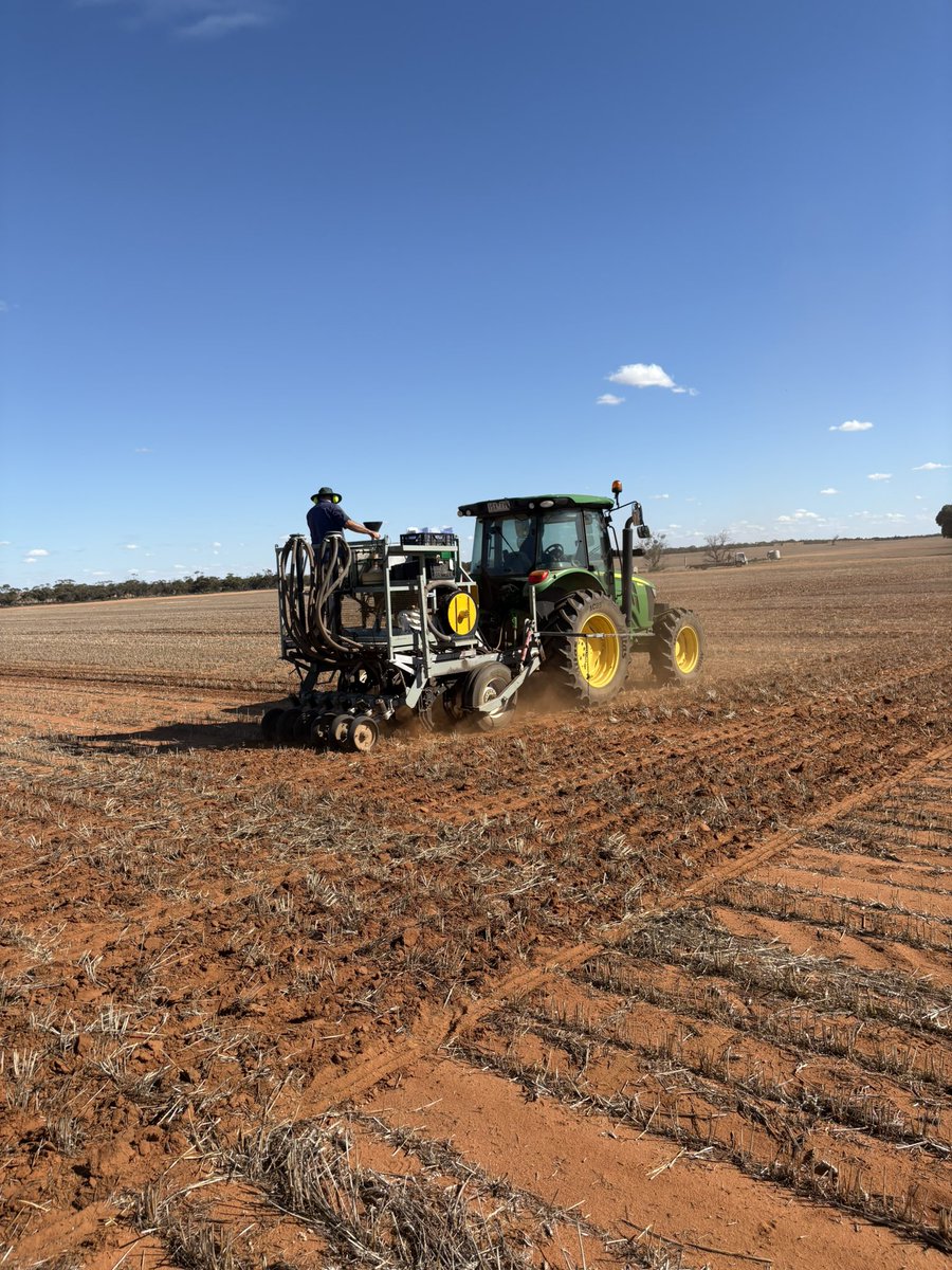 Andrew McMahen tweet media