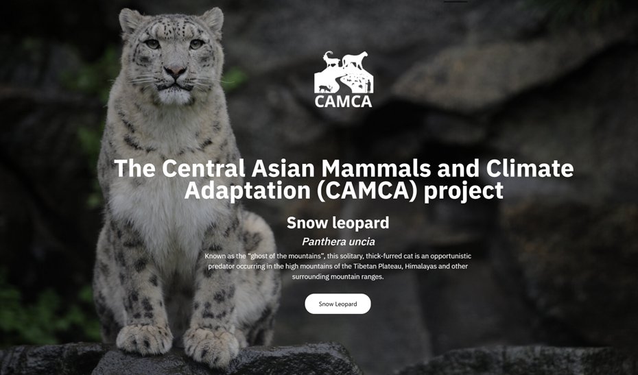 UNEP_Europe's tweet photo. The Central Asian Mammals & Climate Adaptation #CAMCAProject holds its National Consultation in the Kyrgyz Republic.
It works with communities & governments in the region to increase the resilience of mountain species & their ecosystems to climate change. https://t.co/DIdGwphypd https://t.co/aC4sfskTmv