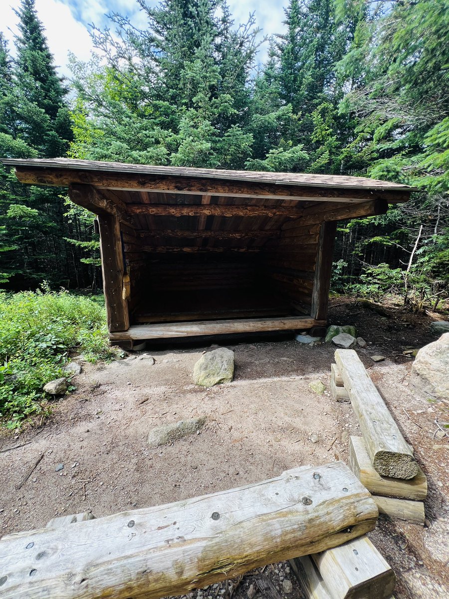 trish johnson tweet media