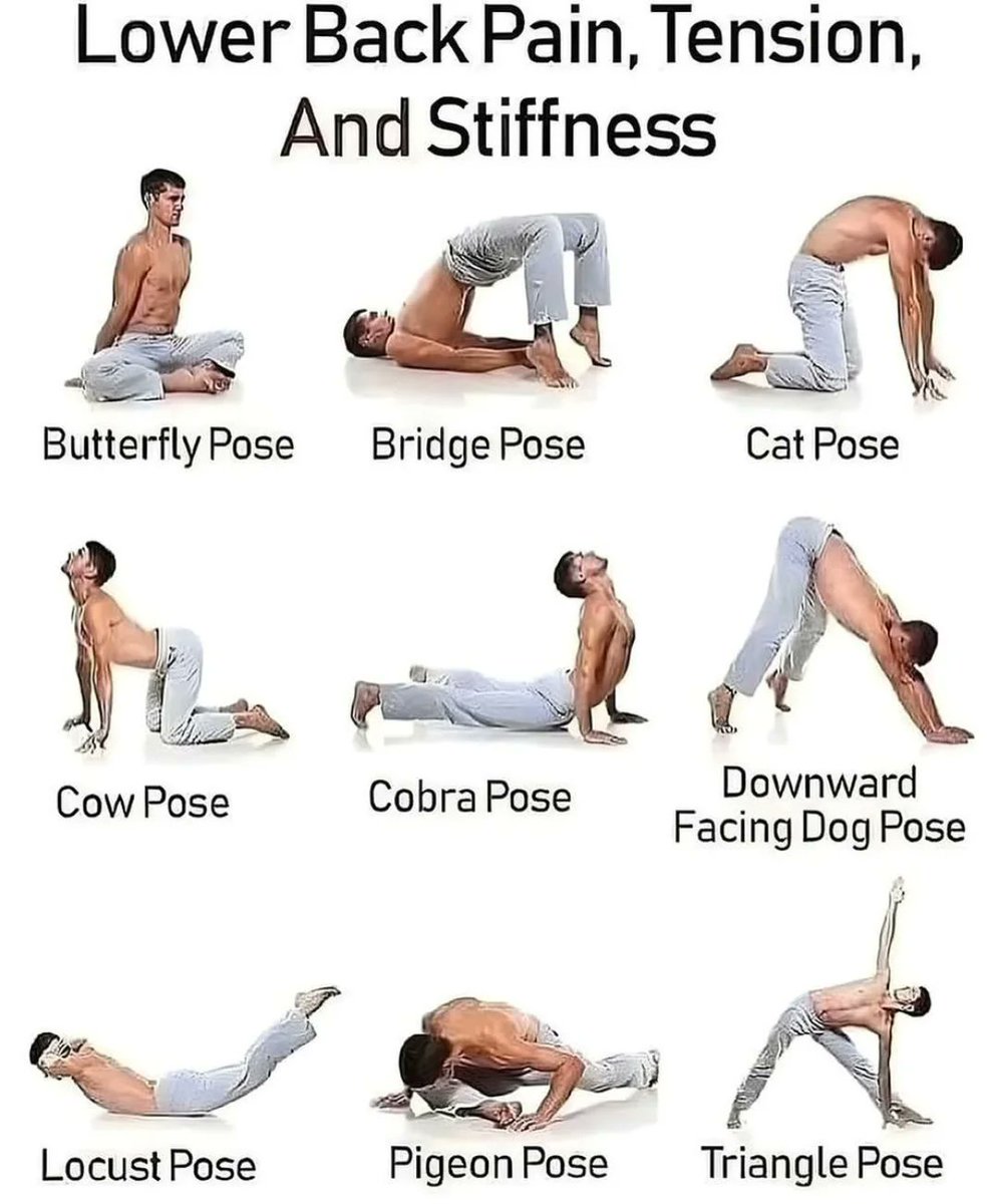 Exercise for Lower Back Pain, Tension And Stiffness 🌿🧘
