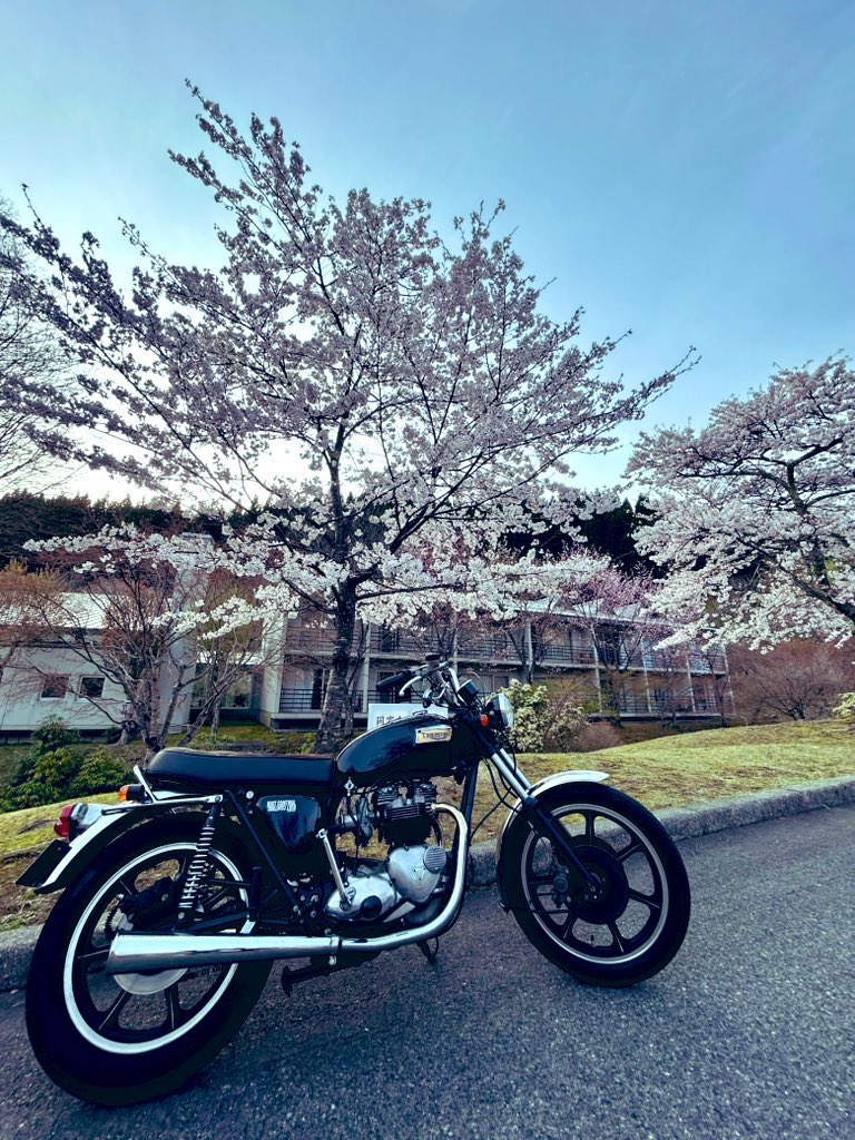 kenz71's tweet photo. 久しぶりの投稿をうっかり消した…先週末のBritishRun、兵庫県は宍粟市にて。もう見れないと思っていた桜がまだまだ美しく咲いていた。 https://t.co/E7U77qMpcB