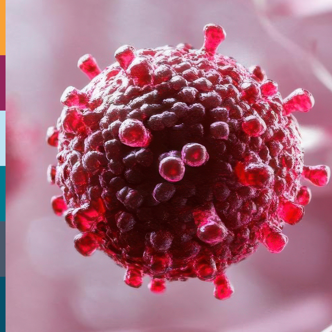 WEHI (Walter and Eliza Hall Institute) (@wehi_research) on Twitter photo This World Primary Immunodeficiency Week, we highlight the Snow Centre for Immune Health. PID refers to genetic disorders where the immune system fails, leaving people vulnerable to infection. We’re uncovering its roots to improve care. snowimmunehealth.org.au
<a href="/SnowMedical/">Snow Medical</a> This World Primary Immunodeficiency Week, we highlight the Snow Centre for Immune Health. PID refers to genetic disorders where the immune system fails, leaving people vulnerable to infection. We’re uncovering its roots to improve care. snowimmunehealth.org.au
<a href="/SnowMedical/">Snow Medical</a>