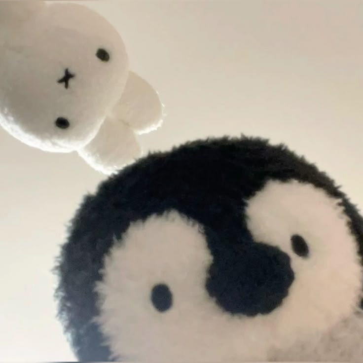 Out Of Context Animals (@animalscontexts) on Twitter photo 