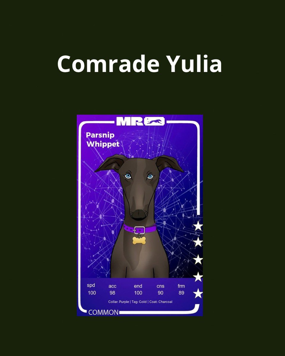 0xUsurper's tweet image. 𝐂𝐨𝐦𝐫𝐚𝐝𝐞 𝐘𝐮𝐥𝐢𝐚 makes her debut and places 1st her first time!              

Brought home 3850 FROTH ($15.25)        

#WhippetRacing #Racing #Crypto #Web3 #Web3Games #Web3Gaming #CryptoGaming $FROTH $POL $USDT @muzzle_run