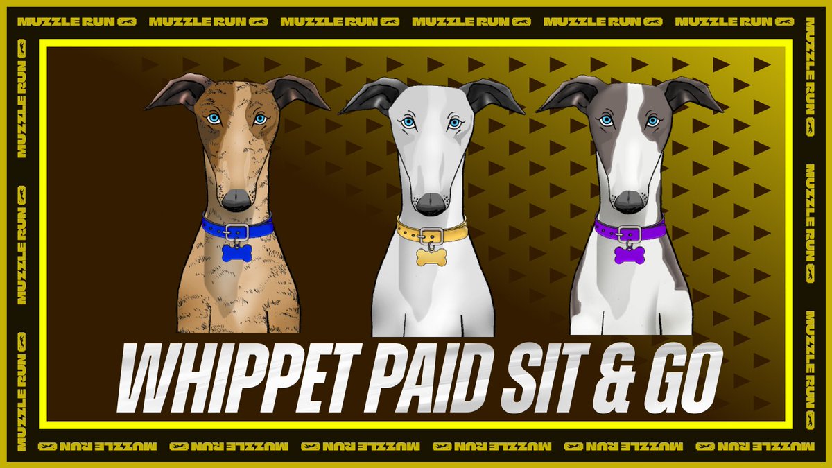 0xUsurper's tweet image. 𝐂𝐨𝐦𝐫𝐚𝐝𝐞 𝐘𝐮𝐥𝐢𝐚 makes her debut and places 1st her first time!              

Brought home 3850 FROTH ($15.25)        

#WhippetRacing #Racing #Crypto #Web3 #Web3Games #Web3Gaming #CryptoGaming $FROTH $POL $USDT @muzzle_run