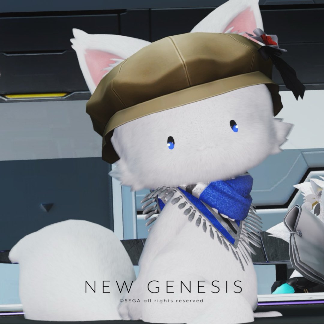 #PSO2NGS_SS 
#メンテの日なのでssを貼る 

初めて動物系のキャラクリした🐈