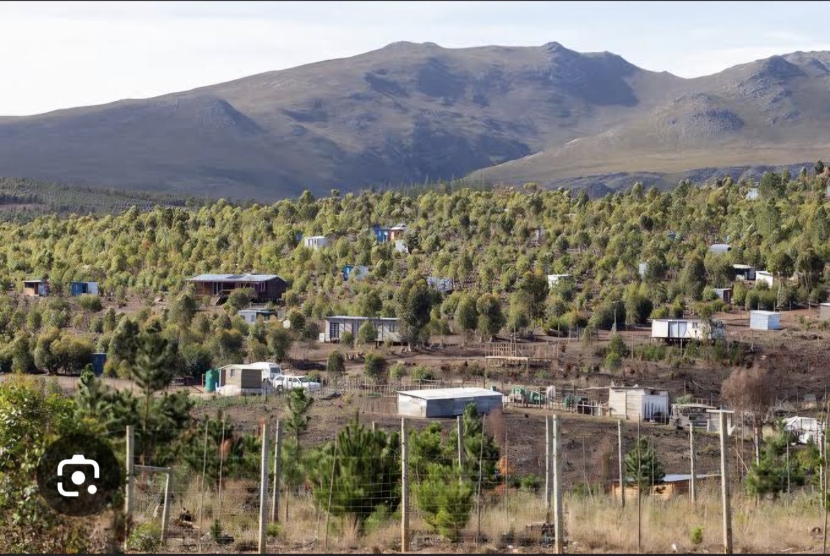 Black Orania......go there EFF!
x.com/VonZaag/status…