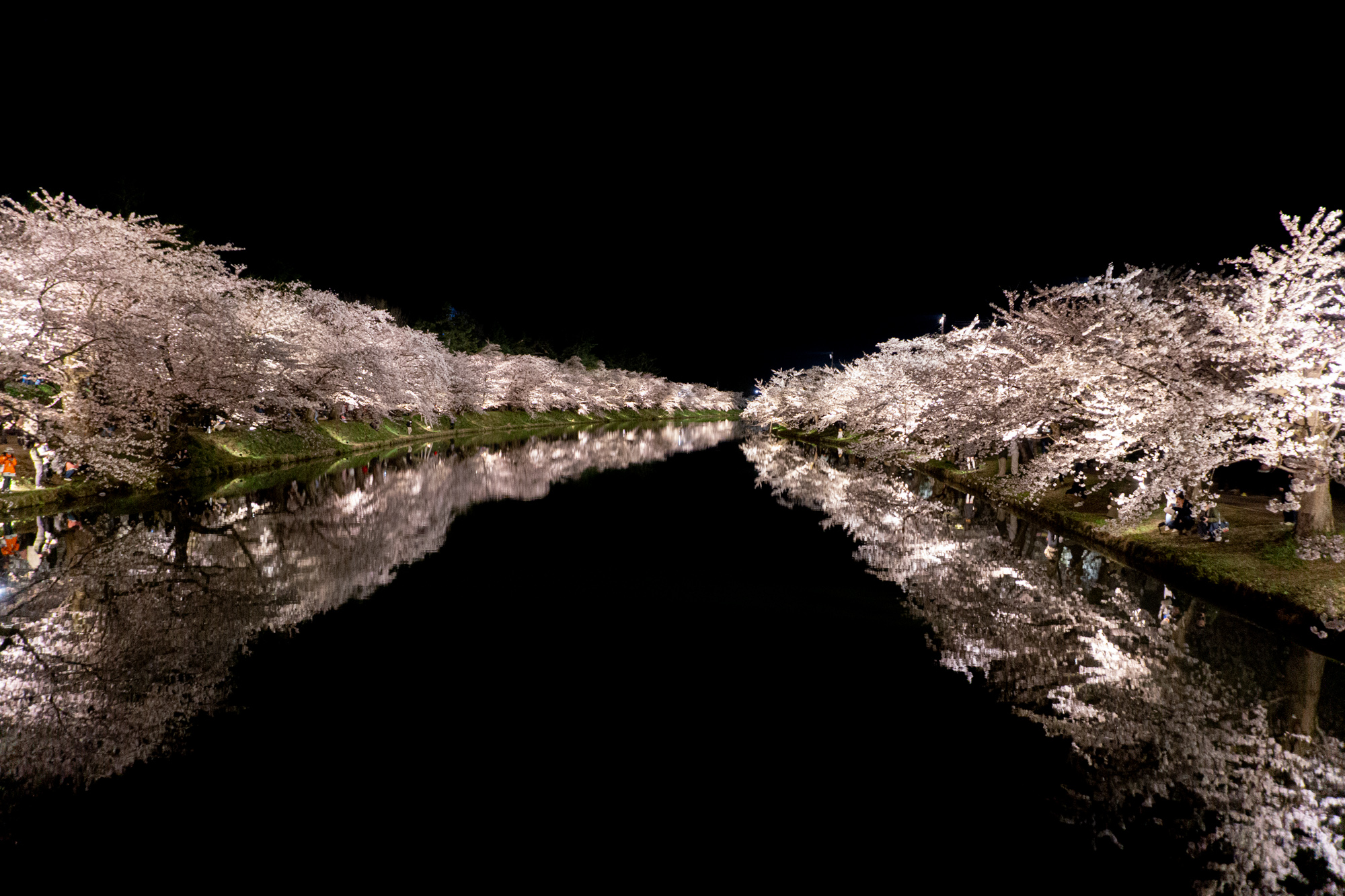 弘前公園 on X: 