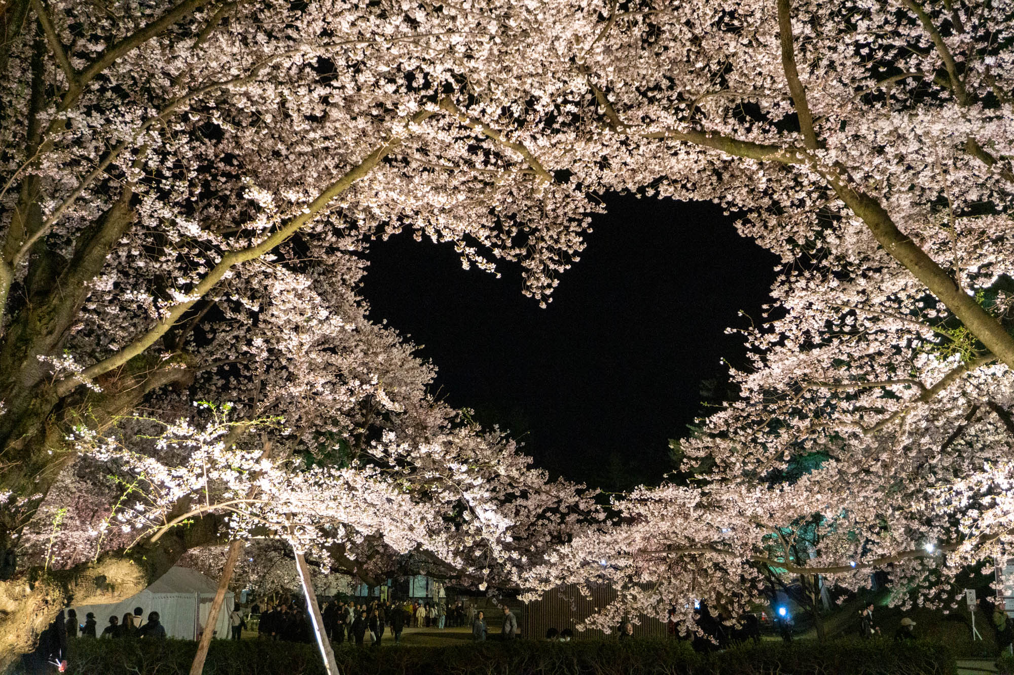 弘前公園 on X: 