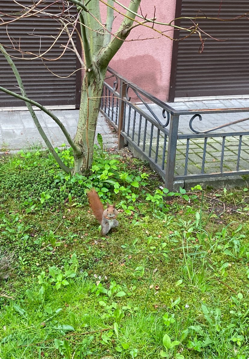 Прям возле дома