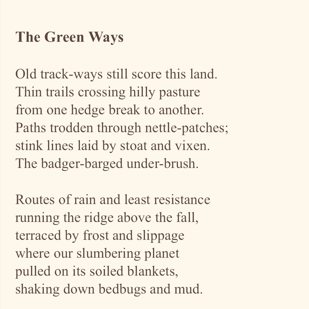 Marcomando's tweet image. A poem for #EarthDay2025 The Green Ways 🙏