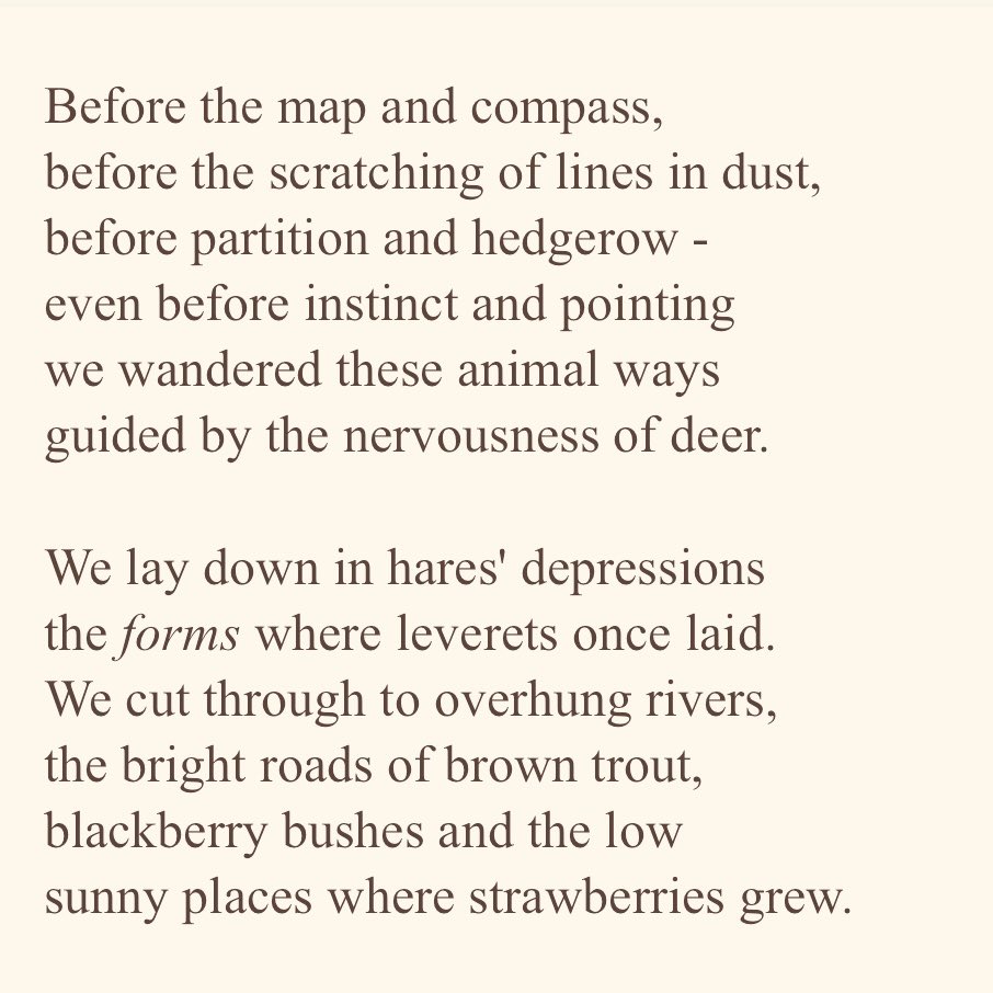 Marcomando's tweet image. A poem for #EarthDay2025 The Green Ways 🙏