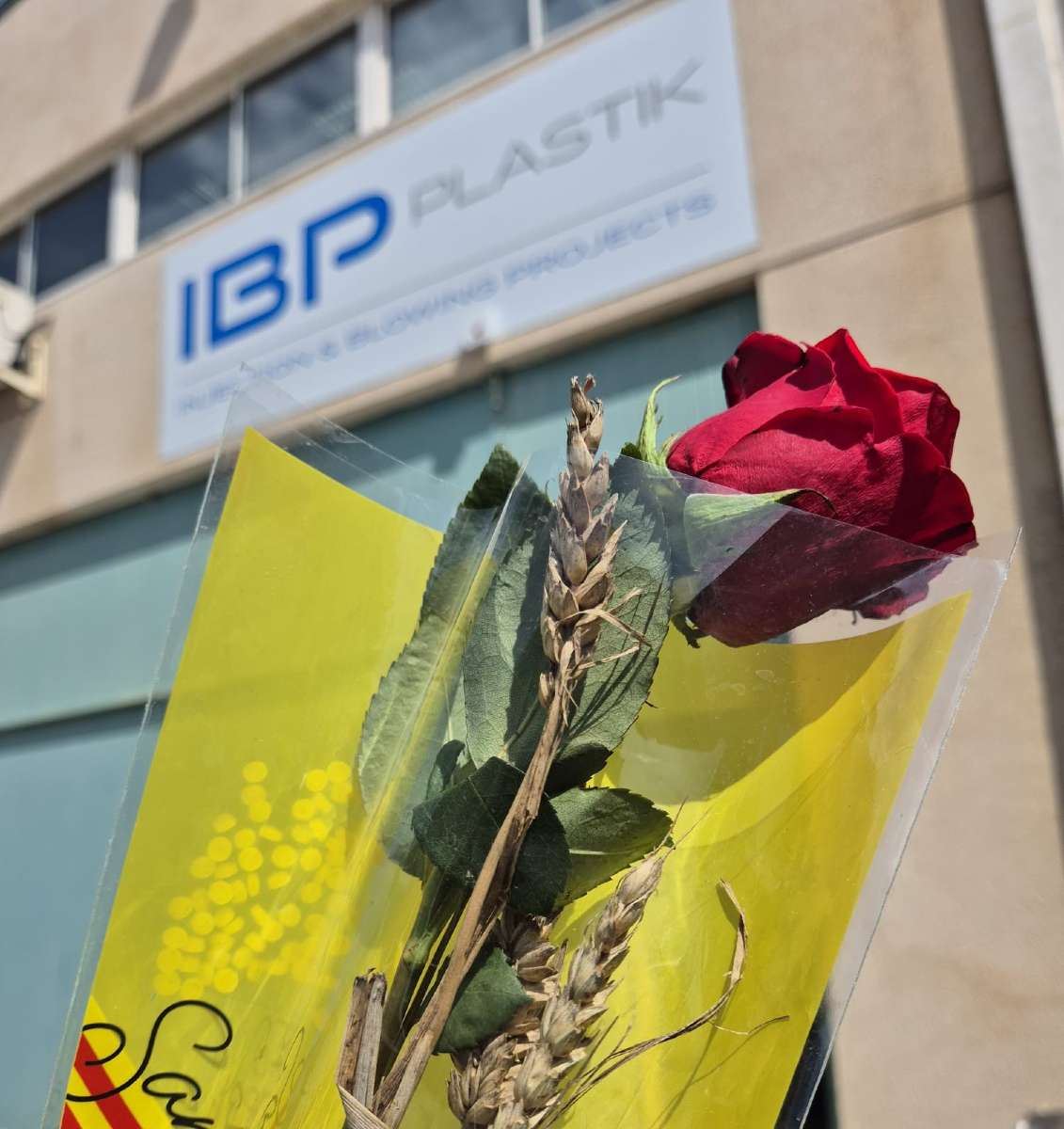 🌹📘 A IBP Plastik també celebrem Sant Jordi!

🐲 En un dia ple d’històries, llegendes i roses, volem posar en valor la força de les idees que transformen el nostre món.

🤝 Feliç Diada a tots els nostres col·laboradors, clients i companys de viatge

#ibpplastik