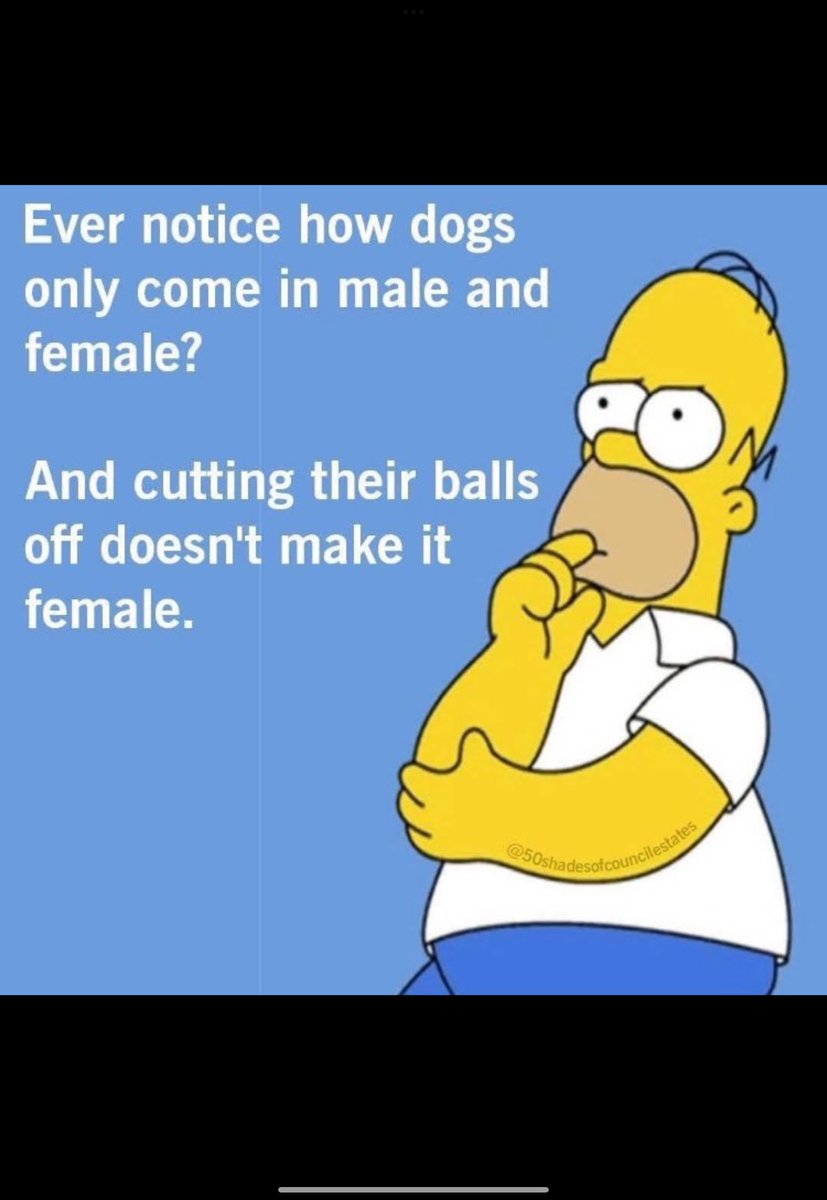 ChainyMac's tweet image. 